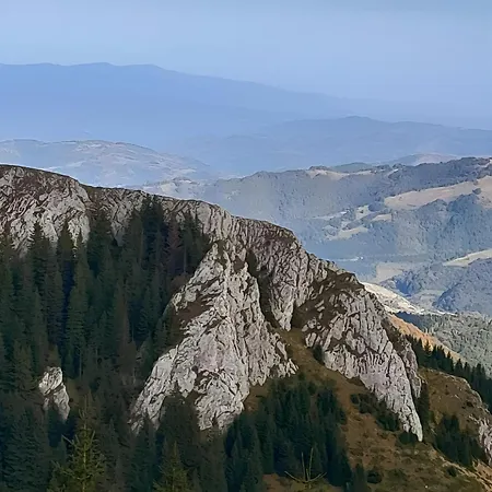 Heights N97 And Wellnes Apartment Kopaonik