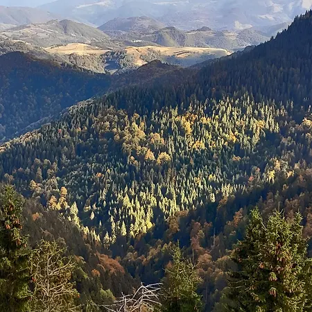 Apartamento Heights N97 And Wellnes