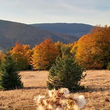 Heights N97 Spa&wellnes Apartament *