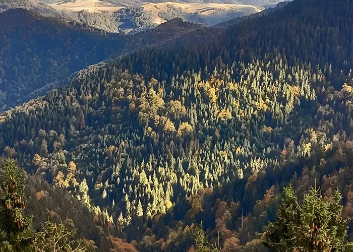 Apartman Heights N97 And Wellnes