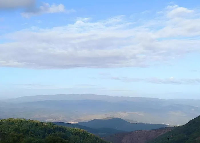 Heights N97 And Wellnes * Kopaonik