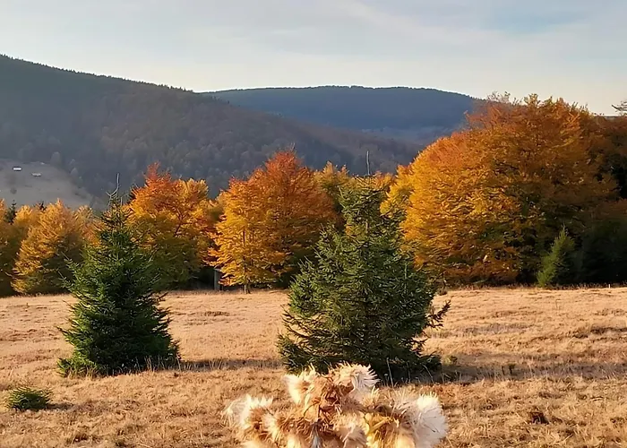 Heights N97 And Wellnes Apartman *